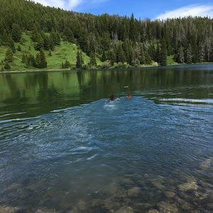 Meet your Posher, Anne